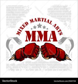 mixed-martial-arts-mma